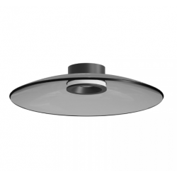 LUBINIS LED ŠVIESTUVAS 25269 D50 30W DŪMINTO STIKLO SPALVOS