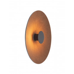 SIENINIS LED ŠVIESTUVAS 25179 D50 6W RUDAS