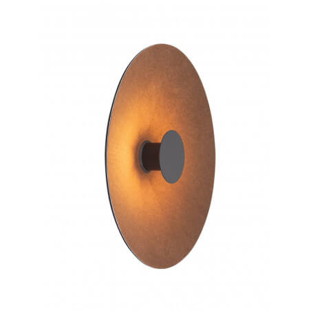 SIENINIS LED ŠVIESTUVAS ZAMBELIS 25179 D50 6W RUDAS