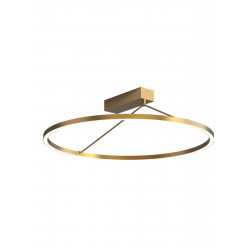 LUBINIS LED ŠVIESTUVAS 2565 D60 42W ŽALVARIO SPALVOS