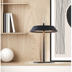 STALINIS LED ŠVIESTUVAS LEONA 12W JUODAS kaina