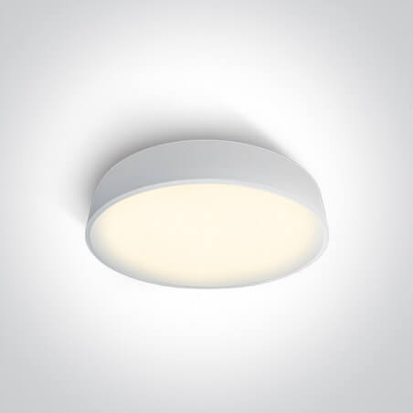LUBINIS LED ŠVIESTUVAS ONE LIGHT 62125D/W/V D40 25W BALTAS