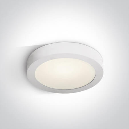 LUBINIS LED ŠVIESTUVAS ONE LIGHT 62115F/W/V D24 15W BALTAS