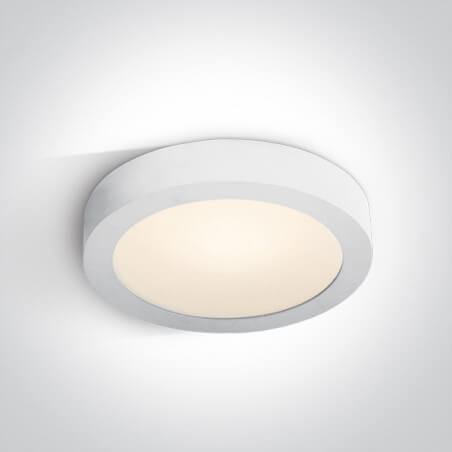 LUBINIS LED ŠVIESTUVAS ONE LIGHT 62130F/W/V D30 30W BALTAS