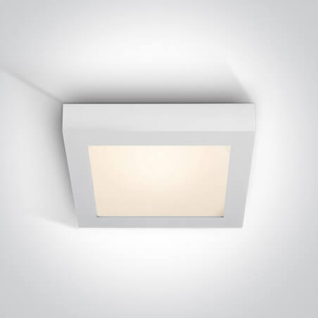 LUBINIS LED ŠVIESTUVAS ONE LIGHT 62122F/W/V L22 22W BALTAS