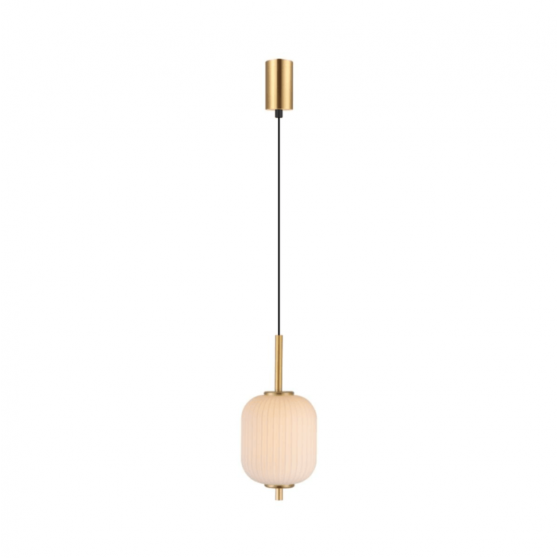 PAKABINAMAS LED ŠVIESTUVAS ZUMA LINE AKARI DU31288/6.5W
