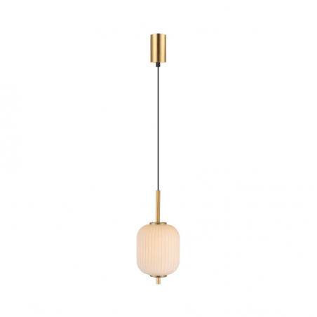 PAKABINAMAS LED ŠVIESTUVAS ZUMA LINE AKARI DU31288/6.5W