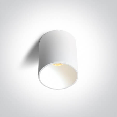 LUBINIS LED ŠVIESTUVAS ONE LIGHT 12112E/W/V 12W BALTAS