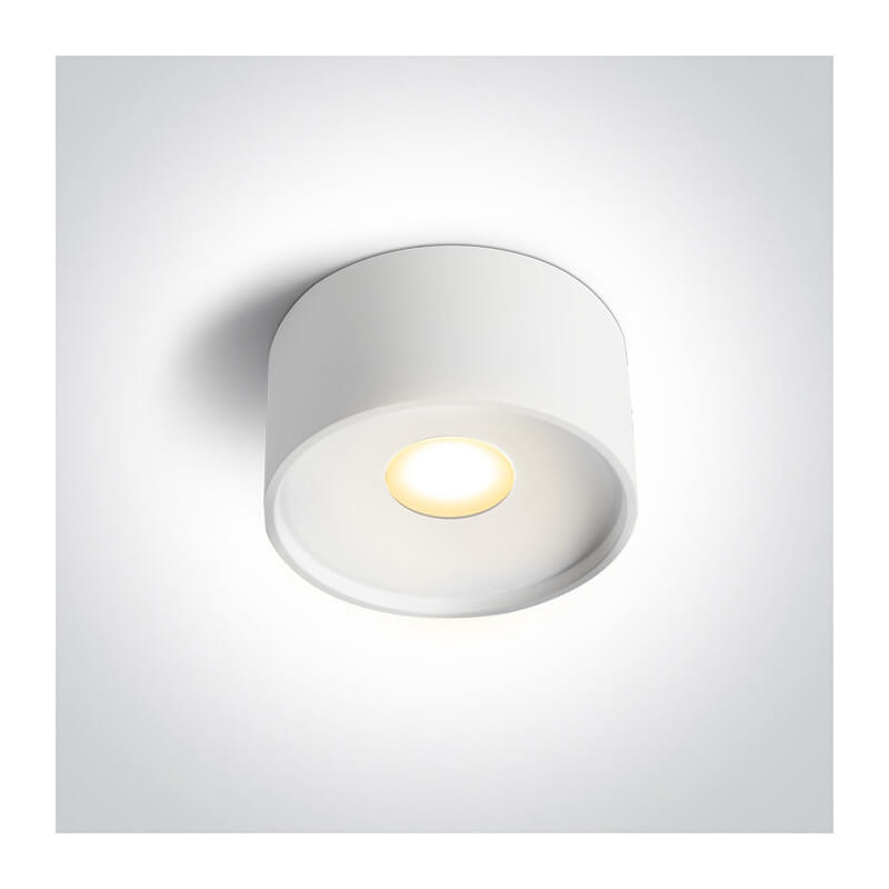 LUBINIS LED ŠVIESTUVAS ONE LIGHT 12112F/W/V 12W BALTAS