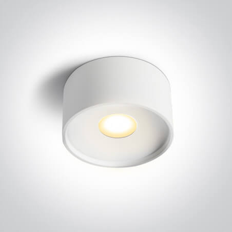 LUBINIS LED ŠVIESTUVAS ONE LIGHT 12112F/W/V 12W BALTAS