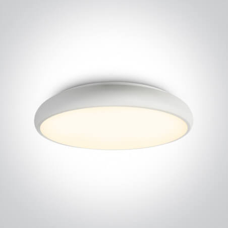 Šviestuvas lubinis ONE LIGHT 62160/W/W