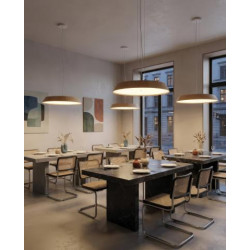 PAKABINAMAS LED ŠVIESTUVAS CORA D61 50W ŠVIESIAI RUDAS pristatymas