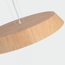 PAKABINAMAS LED ŠVIESTUVAS CORA D61 50W ŠVIESIAI RUDAS internetu