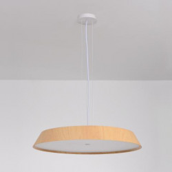PAKABINAMAS LED ŠVIESTUVAS CORA D61 50W ŠVIESIAI RUDAS kaina