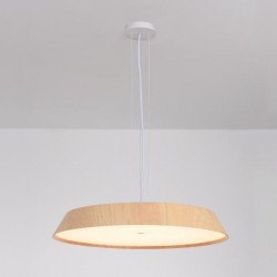 PAKABINAMAS LED ŠVIESTUVAS CORA D61 50W ŠVIESIAI RUDAS pigiau