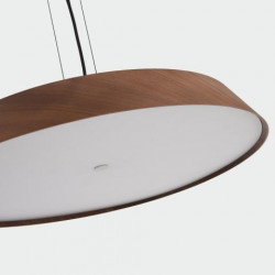 PAKABINAMAS LED ŠVIESTUVAS CORA D61 50W TAMSIAI RUDAS internetu