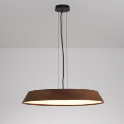 PAKABINAMAS LED ŠVIESTUVAS CORA D61 50W TAMSIAI RUDAS kaina