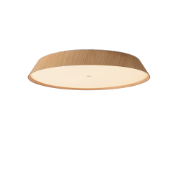 LUBINIS LED ŠVIESTUVAS CORA D61 50W ŠVIESIAI RUDAS