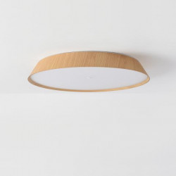 LUBINIS LED ŠVIESTUVAS CORA D61 50W ŠVIESIAI RUDAS pigiau