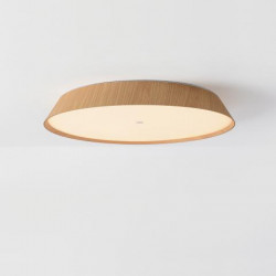LUBINIS LED ŠVIESTUVAS CORA D61 50W ŠVIESIAI RUDAS kaina