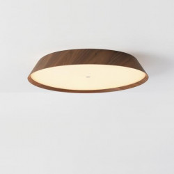 LUBINIS LED ŠVIESTUVAS CORA D61 50W TAMSIAI RUDAS kaina