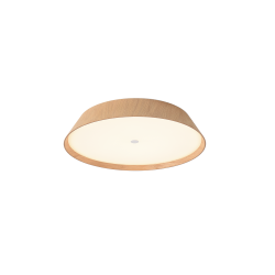 LUBINIS LED ŠVIESTUVAS CORA D43 38W ŠVIESIAI RUDAS