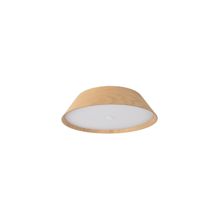 LUBINIS LED ŠVIESTUVAS ACB CORA D34 25W P4015070OAK