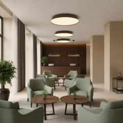 LUBINIS LED ŠVIESTUVAS CORA D34 25W TAMSIAI RUDAS pristatymas