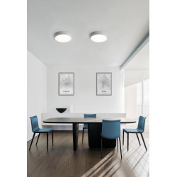 LUBINIS LED ŠVIESTUVAS ISIA D40 30W BALTAS DALI | PUSH internetu