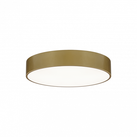 LUBINIS LED ŠVIESTUVAS ACB ISIA D40 30W P3453072OT