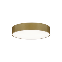 LUBINIS LED ŠVIESTUVAS ISIA D40 30W AUKSO SPALVOS DALI | PUSH