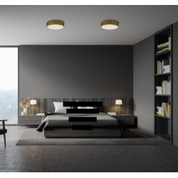 LUBINIS LED ŠVIESTUVAS ISIA D40 30W AUKSO SPALVOS TRIAC internetu