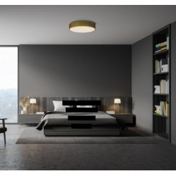 LUBINIS LED ŠVIESTUVAS ISIA D100 126W AUKSO SPALVOS DALI | PUSH internetu