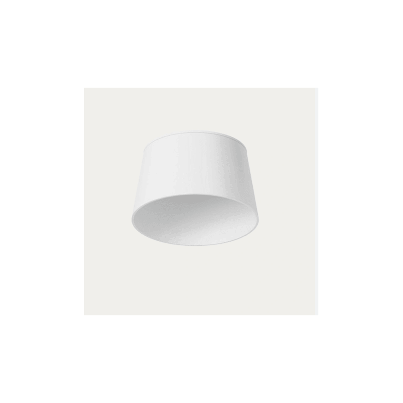 ĮLEIDŽIAMAS LED ŠVIESTUVAS AROMAS LAF 4,5W ĮVAIRIŲ SPALVŲ T0305