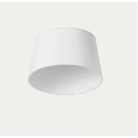 ĮLEIDŽIAMAS LED ŠVIESTUVAS AROMAS LAF 4,5W ĮVAIRIŲ SPALVŲ T0305