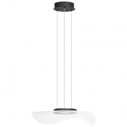 PAKABINAMAS LED ŠVIESTUVAS MEDUSA D50 30W JUODAS