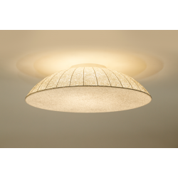 LUBINIS LED ŠVIESTUVAS VELORA NORI D90 36W ĮVAIRIŲ SPALVŲ kaina