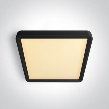 LUBINIS LED ŠVIESTUVAS ONE LIGHT 62020HU/B/V