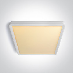 LUBINIS LED ŠVIESTUVAS 62020JU/W/V 24W CCT BALTAS kaina