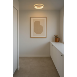 LUBINIS LED ŠVIESTUVAS HALYNA D39,5 24W BALTAS pristatymas