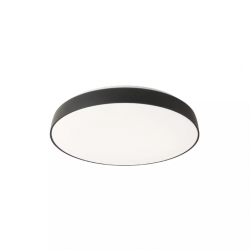 LUBINIS LED ŠVIESTUVAS ERIE D41,5 24W JUODAS