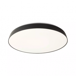 LUBINIS LED ŠVIESTUVAS ERIE D56 50W JUODAS