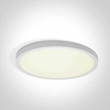 Šviestuvas lubinis ONE LIGHT 62006BD/W/V