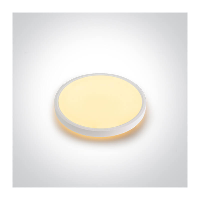 Šviestuvas lubinis ONE LIGHT 62002BD/W/V