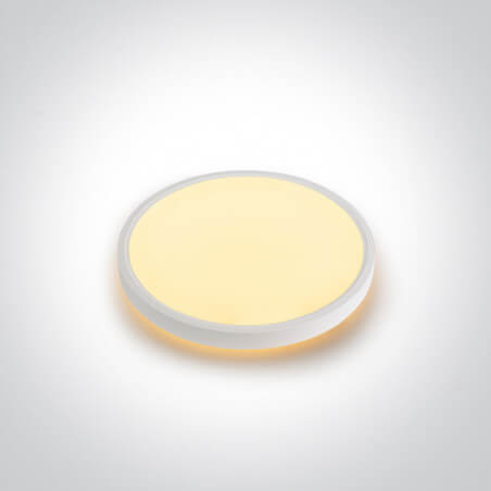 Šviestuvas lubinis ONE LIGHT 62002BD/W/V