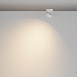 LUBINIS KRAIPOMAS LED ŠVIESTUVAS LENS 12W BALTAS internetu
