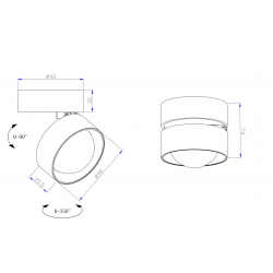 LUBINIS KRAIPOMAS LED ŠVIESTUVAS LENS 12W JUODAS kaina