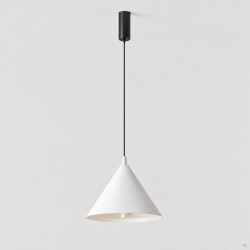 PAKABINAMAS LED ŠVIESTUVAS TRAG D30 12W BALTAS