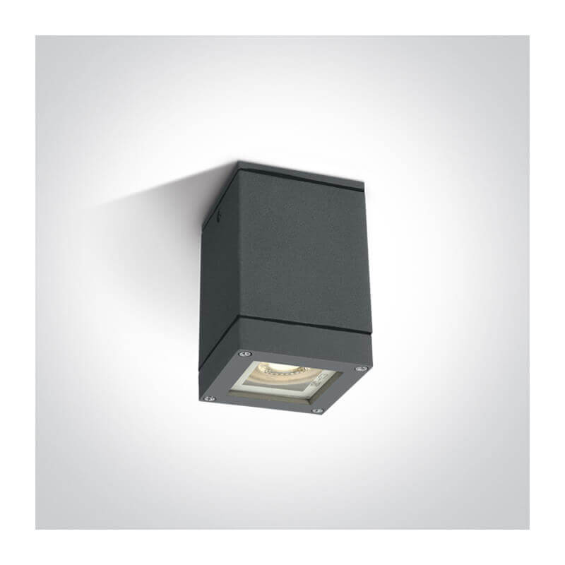 Šviestuvas lubinis lauko One Light 67130D/AN