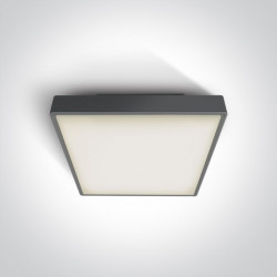 Lubinis LED šviestuvas Plafo SMD LED 82AN/AN/W